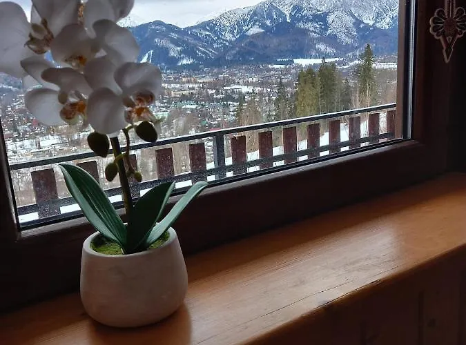 Niebianska Gran * 扎科帕内